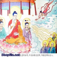 Hình phật giáo ngắm nhìn